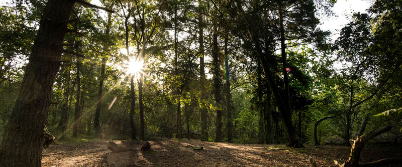FDB Møbler | Dansk design til dit hjem siden 1942